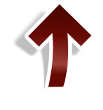 BACK TO TOP